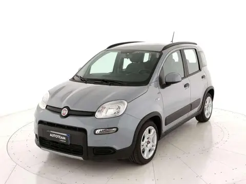 Used FIAT PANDA Hybrid 2022 Ad 