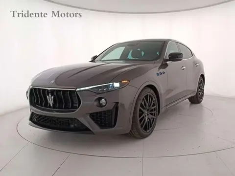 Used MASERATI LEVANTE Hybrid 2024 Ad 