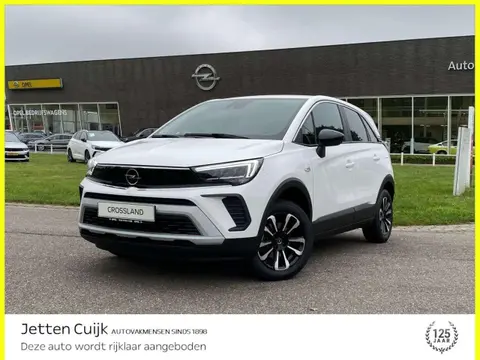 Annonce OPEL CROSSLAND Essence 2023 d'occasion 