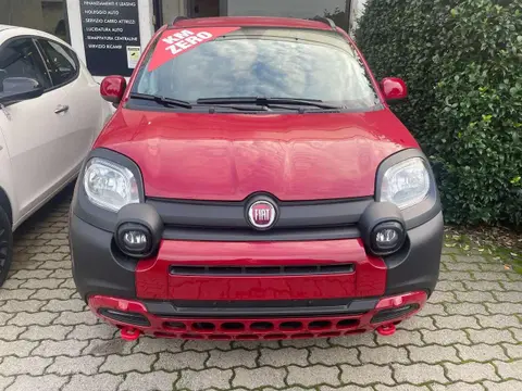 Annonce FIAT PANDA Hybride 2024 d'occasion 