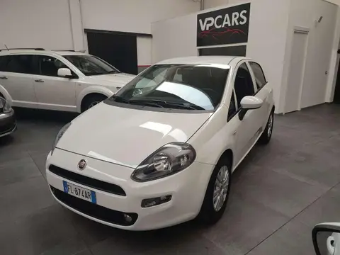 Used FIAT PUNTO Diesel 2017 Ad 