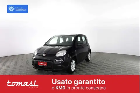 Annonce FIAT PANDA Hybride 2024 d'occasion 