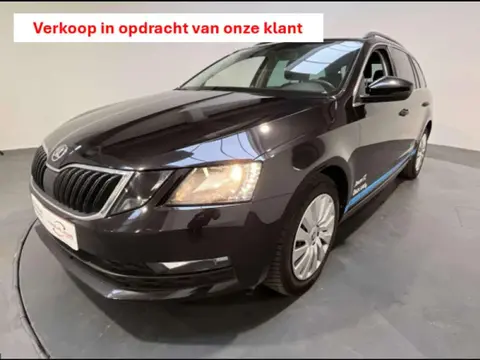 Annonce SKODA OCTAVIA  2019 d'occasion 