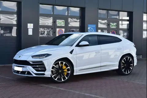 Annonce LAMBORGHINI URUS Essence 2022 d'occasion 