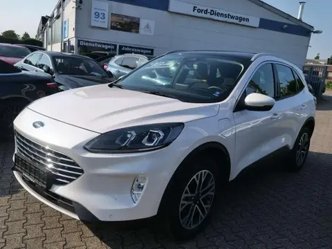 Used FORD KUGA Hybrid 2023 Ad 