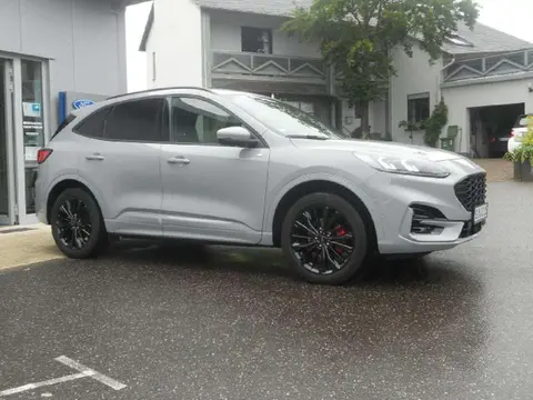 Used FORD KUGA Hybrid 2023 Ad 