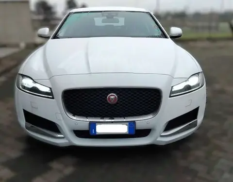 Used JAGUAR XF Diesel 2016 Ad 