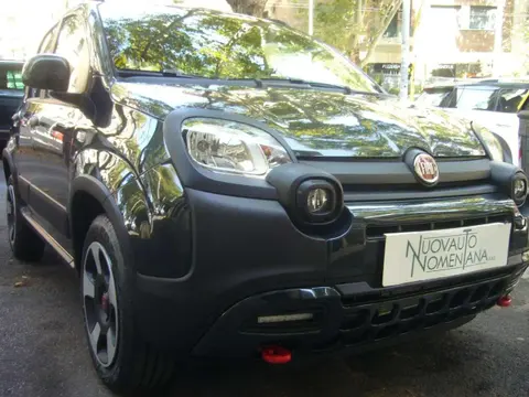 Used FIAT PANDA Hybrid 2024 Ad 