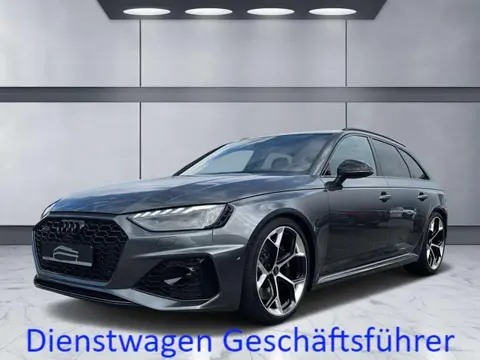 Used AUDI RS4 Petrol 2023 Ad 