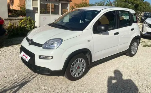 Annonce FIAT PANDA Hybride 2023 d'occasion 