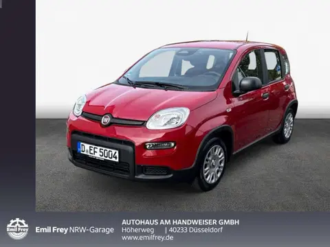 Annonce FIAT PANDA Hybride 2024 d'occasion 