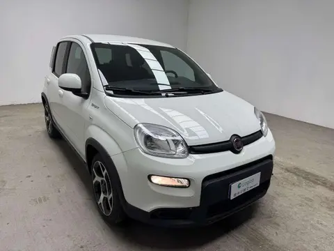 Used FIAT PANDA Hybrid 2021 Ad 