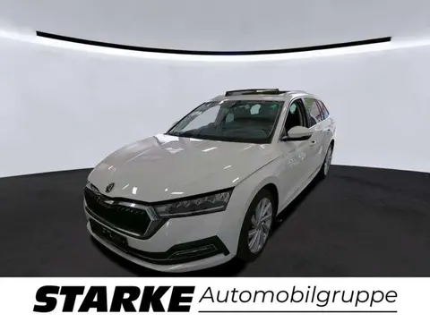 Annonce SKODA OCTAVIA Diesel 2022 d'occasion 