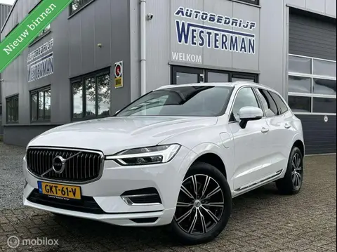 Used VOLVO XC60 Hybrid 2020 Ad 