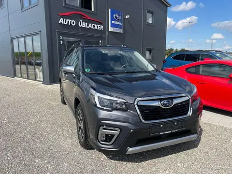 Annonce SUBARU FORESTER Hybride 2021 d'occasion 