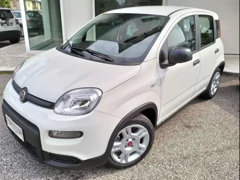 Used FIAT PANDA Hybrid 2024 Ad 