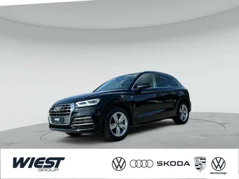 Used AUDI Q5 Hybrid 2021 Ad 