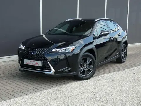 Used LEXUS UX Hybrid 2021 Ad 