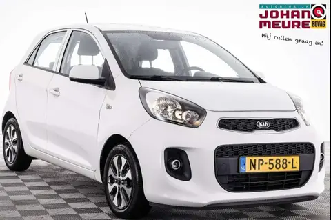 Used KIA PICANTO Petrol 2017 Ad 