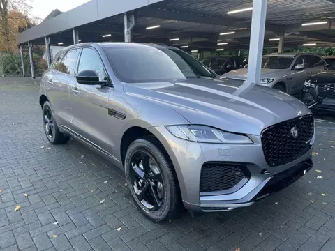 Used JAGUAR F-PACE Hybrid 2024 Ad 