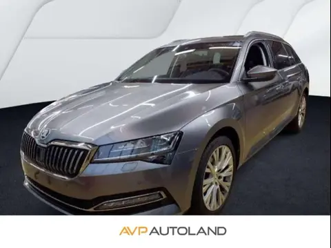 Annonce SKODA SUPERB Diesel 2023 d'occasion 