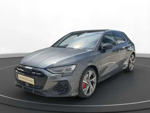 Annonce AUDI S3 Essence 2024 d'occasion 