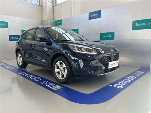 Annonce FORD KUGA Hybride 2022 d'occasion 