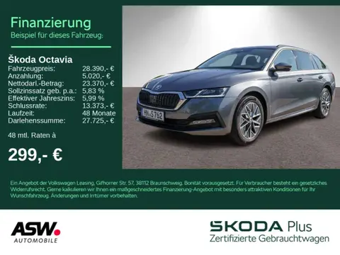 Used SKODA OCTAVIA Diesel 2023 Ad 