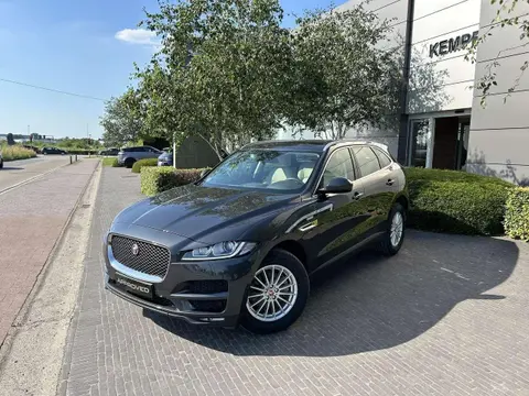 Used JAGUAR F-PACE Diesel 2017 Ad 