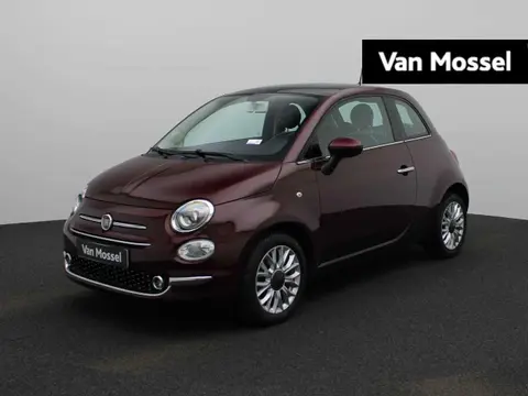 Annonce FIAT 500 Essence 2019 d'occasion 