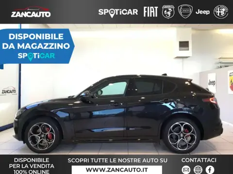 Used ALFA ROMEO STELVIO Diesel 2023 Ad 