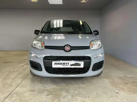 Annonce FIAT PANDA Essence 2018 d'occasion 