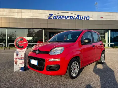 Used FIAT PANDA Hybrid 2021 Ad 