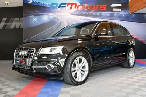 Used AUDI SQ5 Diesel 2016 Ad 