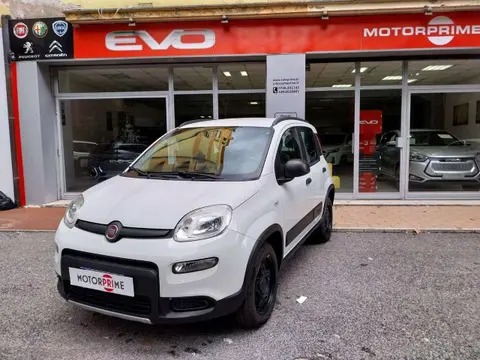 Annonce FIAT PANDA Essence 2019 d'occasion 