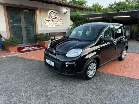 Annonce FIAT PANDA Hybride 2024 d'occasion 