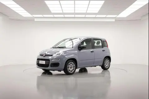 Annonce FIAT PANDA Hybride 2022 d'occasion 