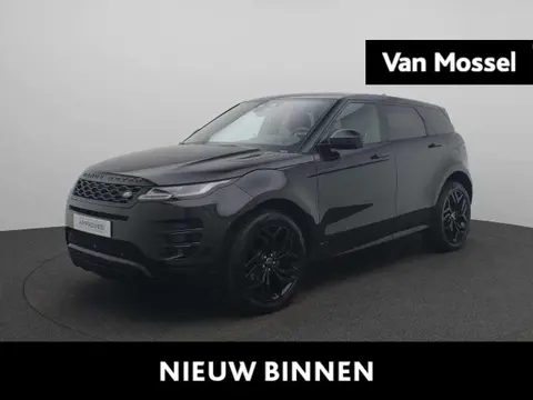 Annonce LAND ROVER RANGE ROVER EVOQUE Hybride 2021 d'occasion 