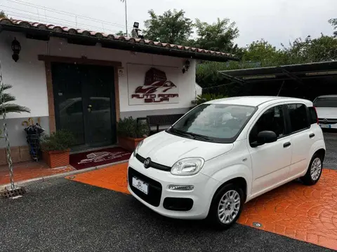 Annonce FIAT PANDA Essence 2019 d'occasion 