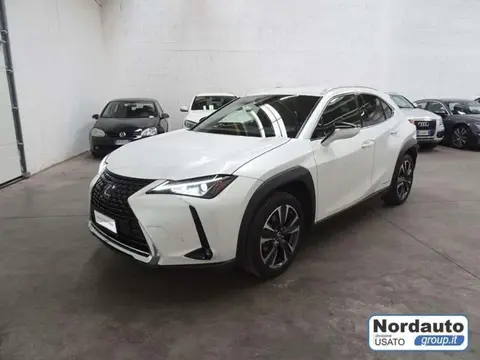 Used LEXUS UX Hybrid 2020 Ad 