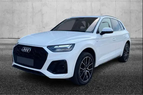 Used AUDI Q5 Hybrid 2021 Ad 