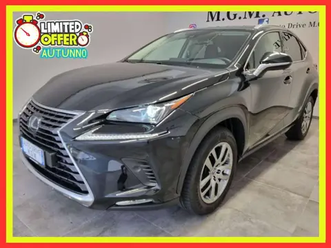 Used LEXUS NX Hybrid 2021 Ad 