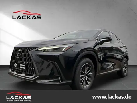 Used LEXUS NX Hybrid 2024 Ad 