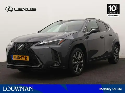 Used LEXUS UX Hybrid 2023 Ad 