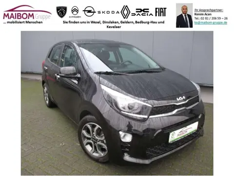 Used KIA PICANTO Petrol 2024 Ad 