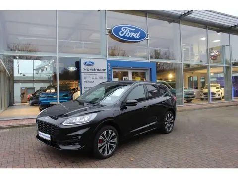 Used FORD KUGA Hybrid 2024 Ad 