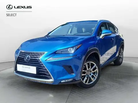 Used LEXUS NX Hybrid 2018 Ad 