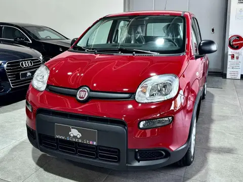 Annonce FIAT PANDA Hybride 2024 d'occasion 