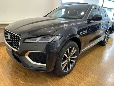 Used JAGUAR F-PACE Hybrid 2022 Ad 