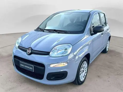 Annonce FIAT PANDA GPL 2020 d'occasion 